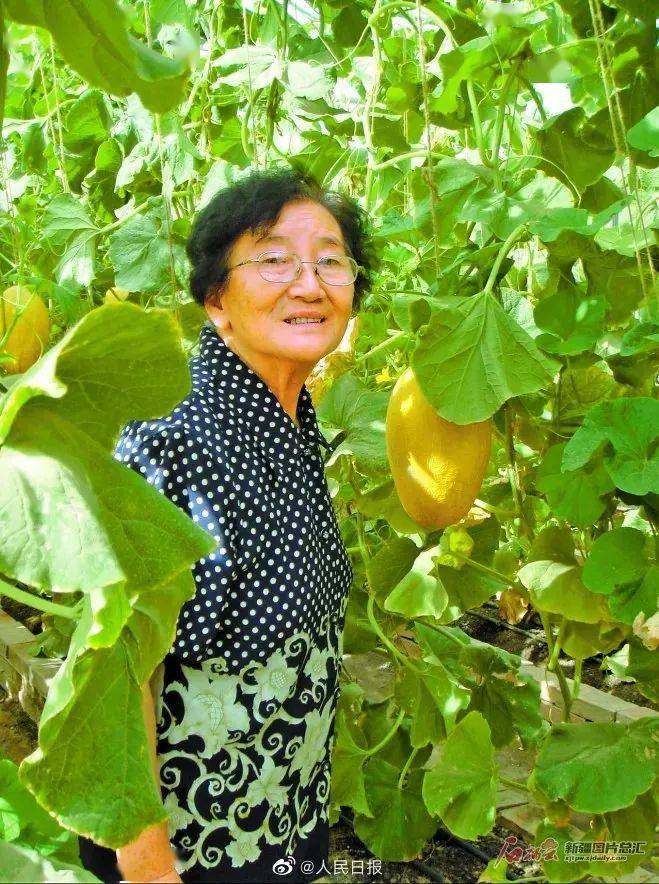 水果奶奶论坛，共享健康与美味的网络乐园