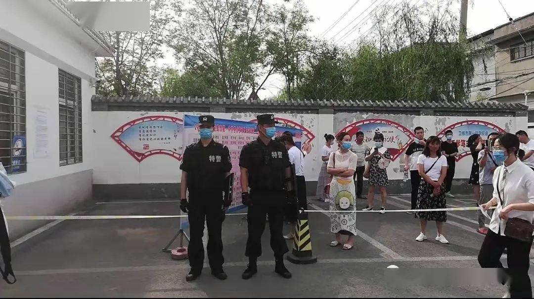 澳门水果奶奶，资料公开背后的故事与影响
