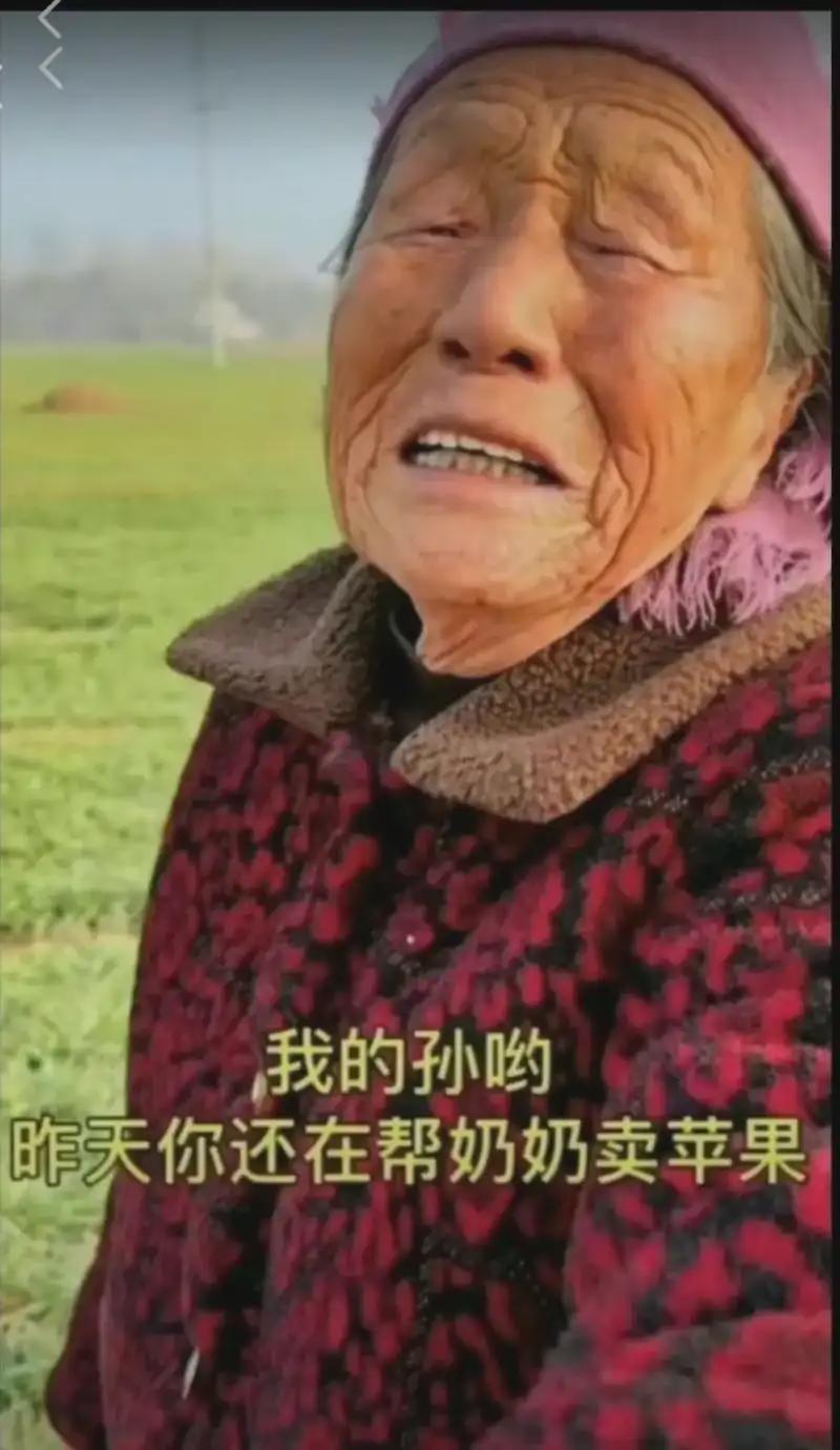 水果奶奶与26247彩民网，一场意外的网络奇缘