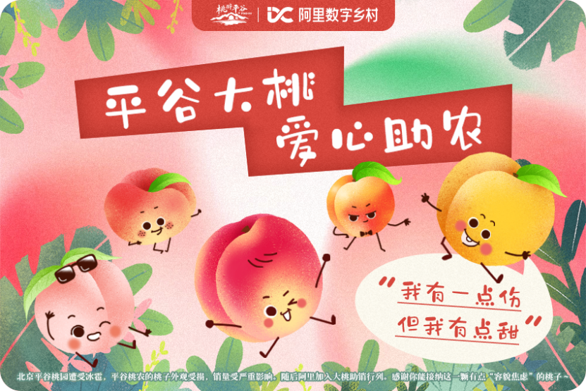 探索235777背后的故事，水果奶奶的温馨记忆