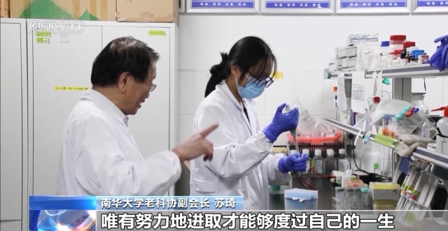澳门水果奶奶，免费资料论坛的最新动态与社区温暖力量