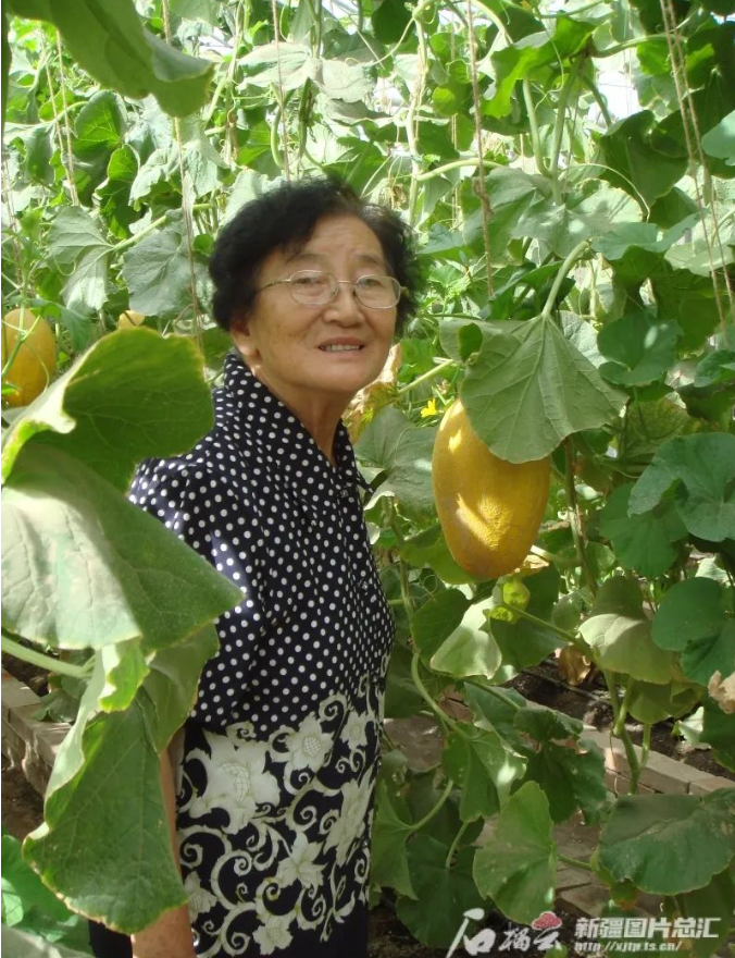 水果奶奶心水专区，主论坛的甜蜜盛宴