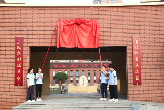 澳门四肖八码精选期准，揭秘精准预测的真相澳门四肖八码精选期期准亮点