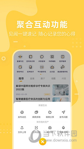 千禧3d，揭秘关注号码与金码的奥秘
