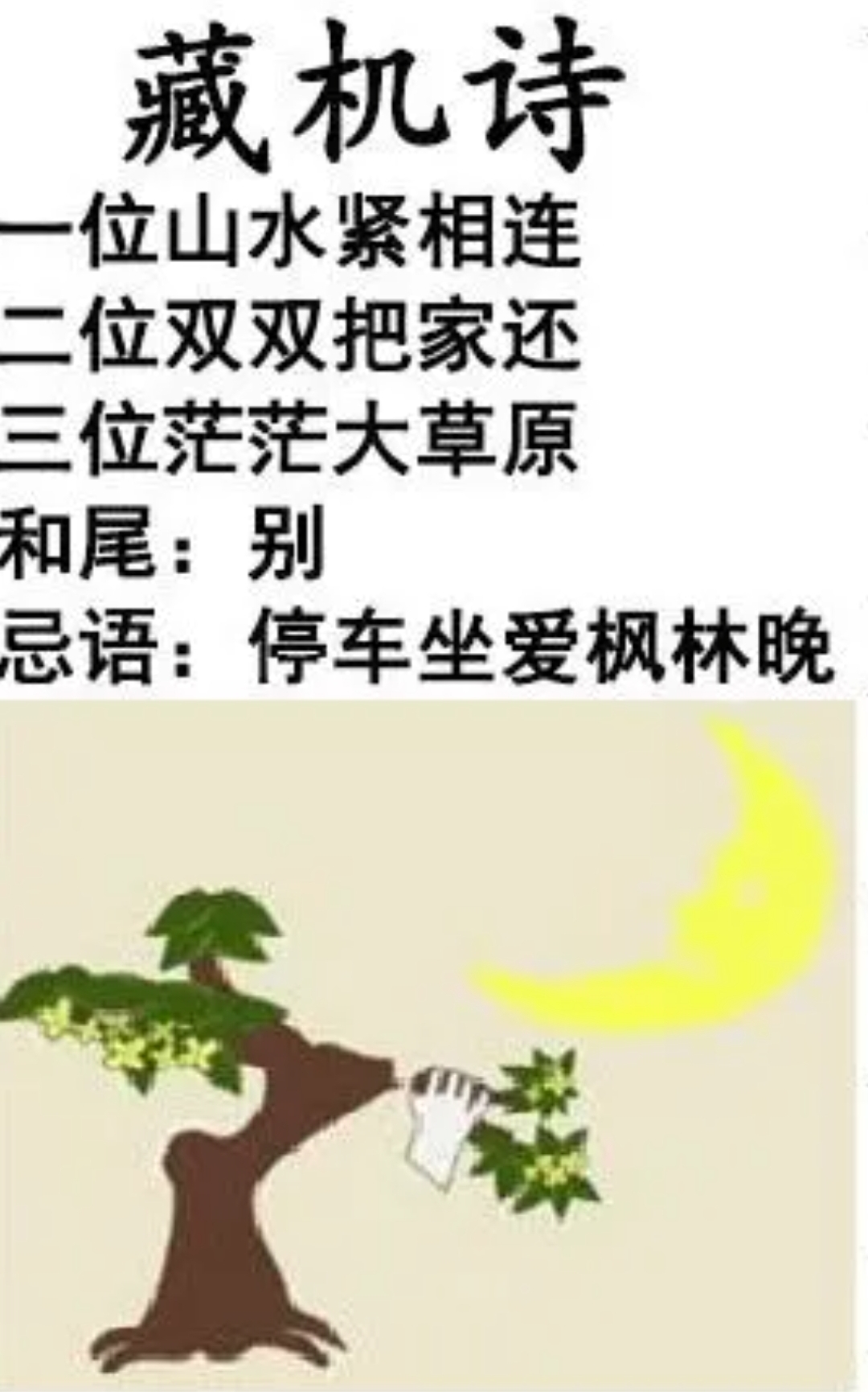 澳门一肖中选料LK，揭秘精准预测的背后澳门一肖一码期期准中选料l乙2022