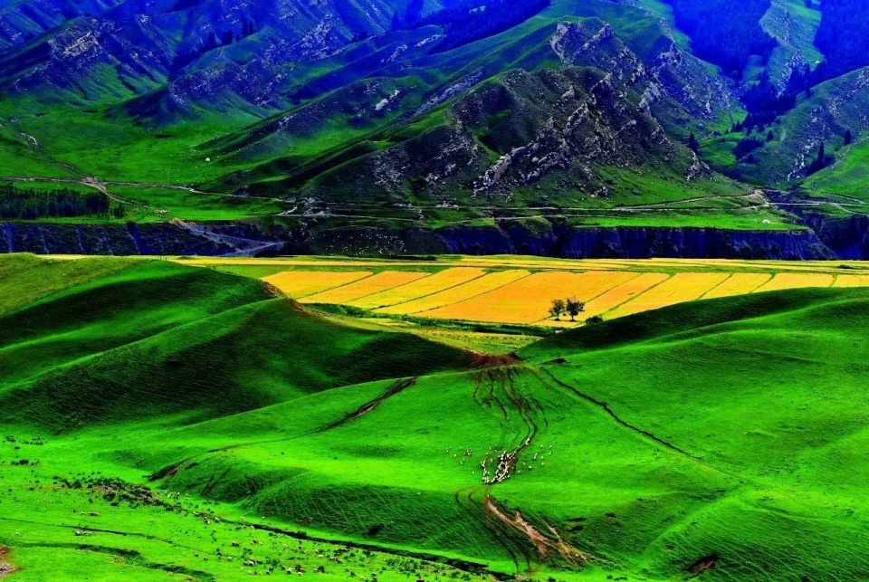 探索新疆，一幅壮丽多彩的地理画卷