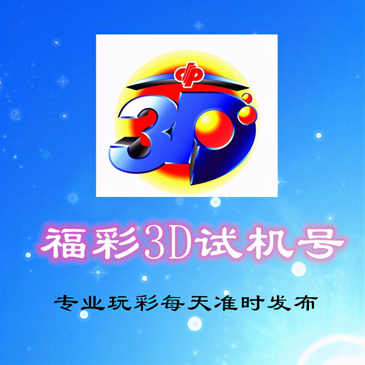 探索未来，3D金码的无限可能