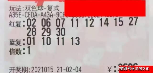 梦想与幸运 第5页