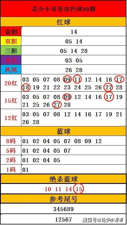 100期双色球开奖结果一览表，数字与幸运的交织