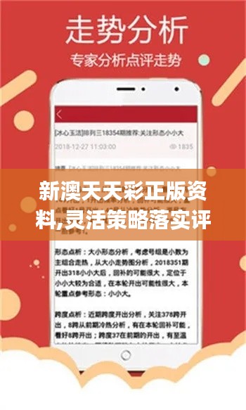 澳门一码，2015年至今的回顾与展望—迈向未来的特一中2025年一肖一码一中今晚