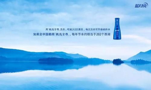 蓝月亮心水，生活中的温柔力量蓝月亮心水 论坛