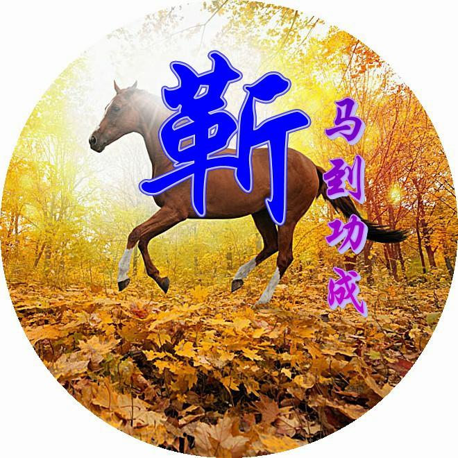 探索128图的奥秘，数字与图像交织的艺术世界118图库彩图118开奖