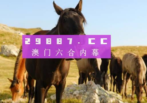 澳门最牛三肖二码中特，揭秘其独特优势与魅力澳门最牛三肖三码中特的优势2024年