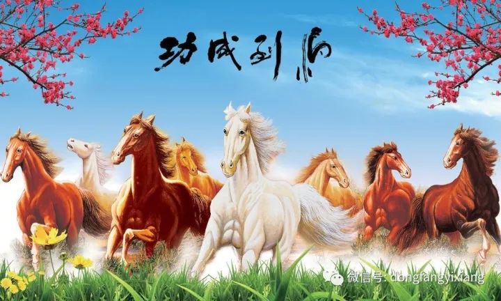 揭秘特马生肖之谜—它最大指的是哪个属相？特马生肖它最大是指哪个生肖指十二肖那些动物
