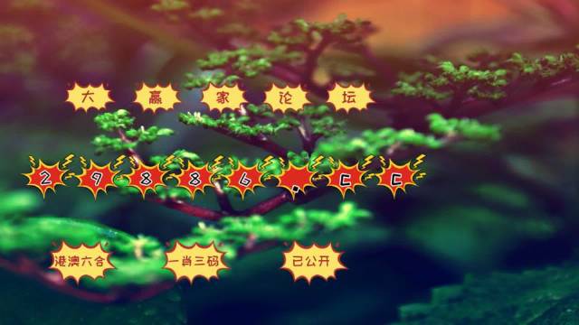 澳门一肖与精准预测，揭秘背后的数字奥秘和理性分析的魅力澳门一肖一码澳门跑狗