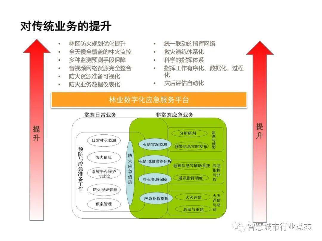 三肖选一的智慧与挑战，解码数字世界的微妙平衡术—以彩票为例探讨决策艺术和概率论的应用实践