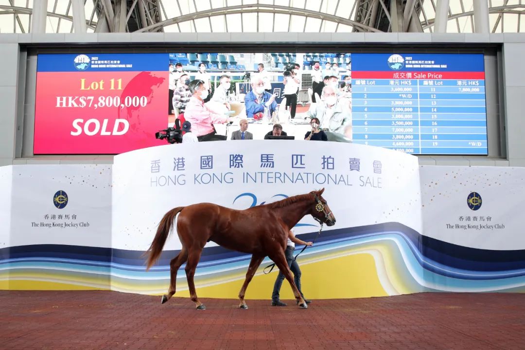 2018香港马会资料大全，全面解析与深度解读香港2021年马会资料大全