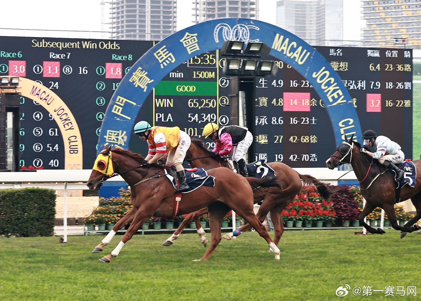 2019年马会免费资料，一场未雨绸缪的智慧盛宴2019年马会正版生活幽默图片