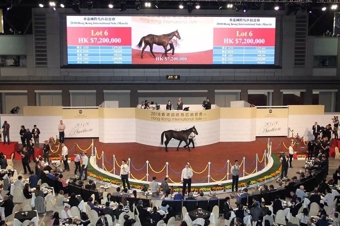 2019年香港开奖速度的革新与影响香港最快现场开奖结果2019