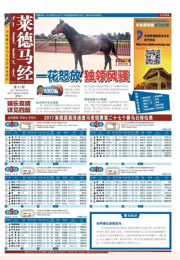 今期马会传真，揭秘赛场背后的故事与技巧今期马会传真内部封信