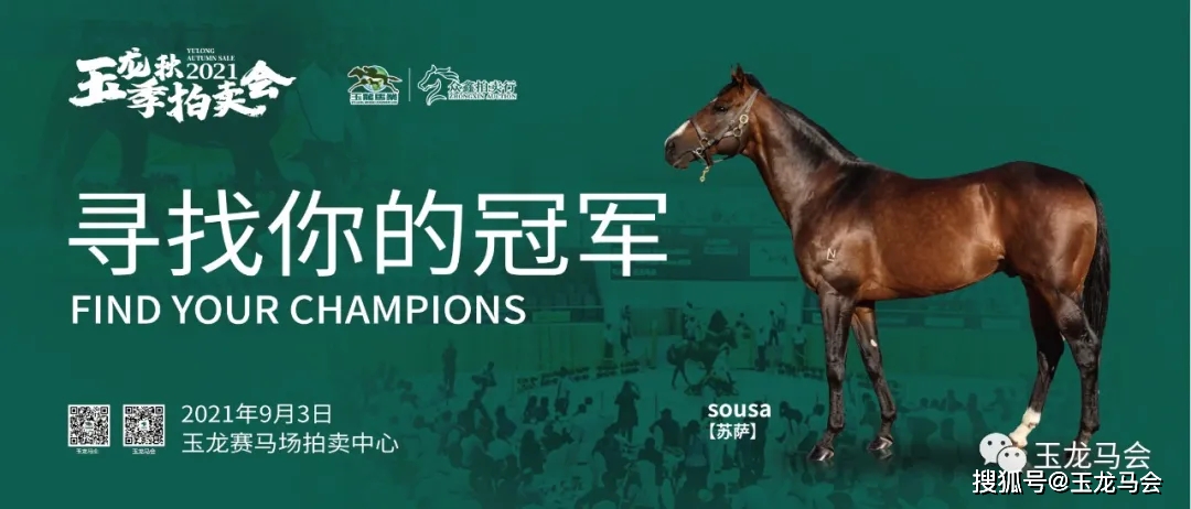 2019年今晚特马开奖揭秘，数字背后的奥秘与期待2021年今晚特马开几号码