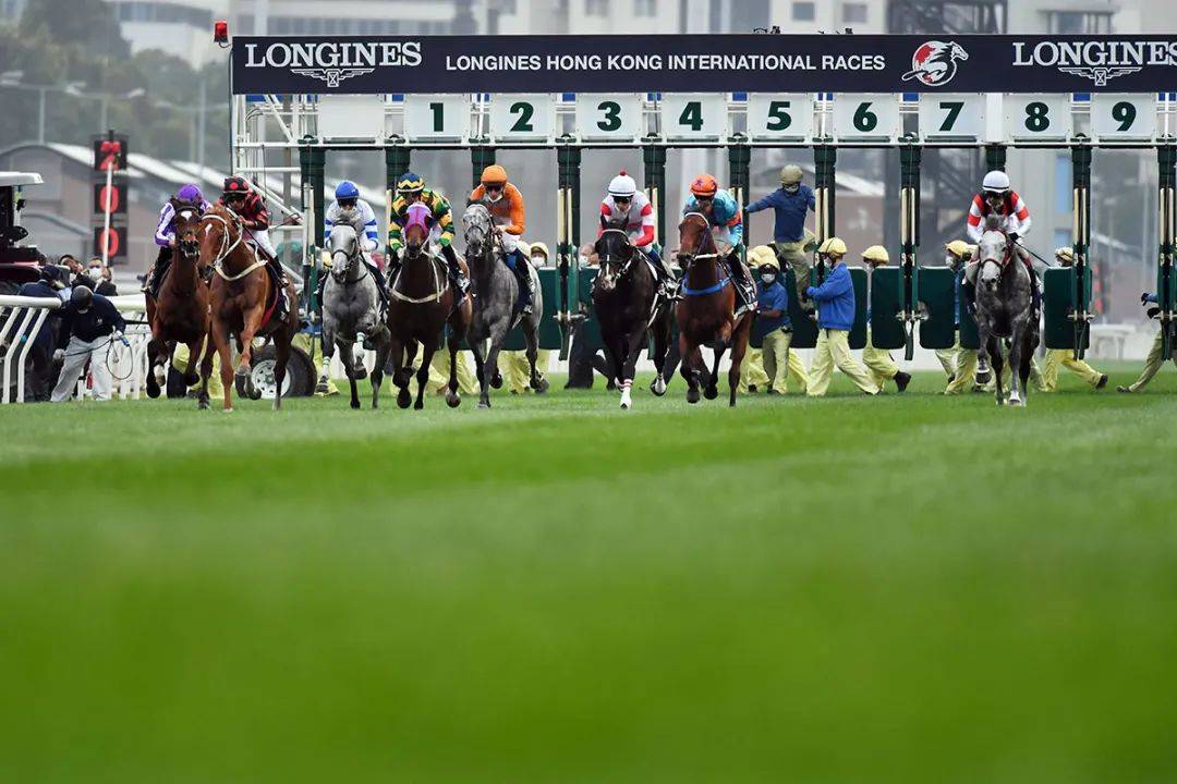 2019年马会正版，重塑赛马的数字化未来二o一九年马会正版资料