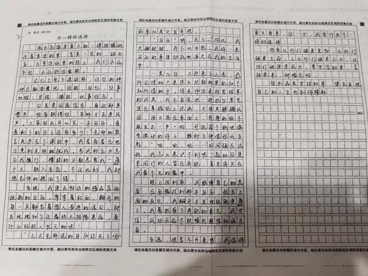 365作文枓棋网，点亮创意与灵感的火花棋类征文550字