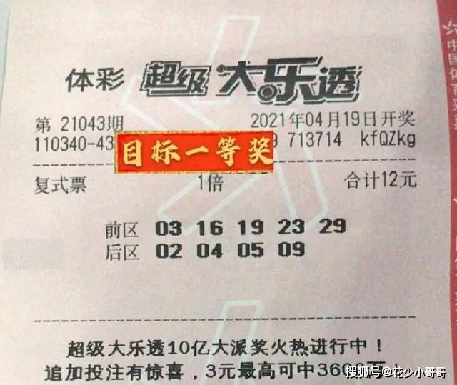 澳门今晚必中一肖，香港彩民的期待与现实今晚澳门必哪肖?