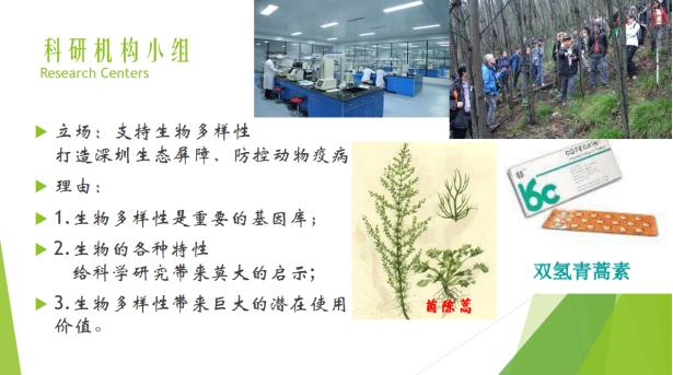 免费资料大全，香港曾道之宝库香港曾道2010正版免费资料