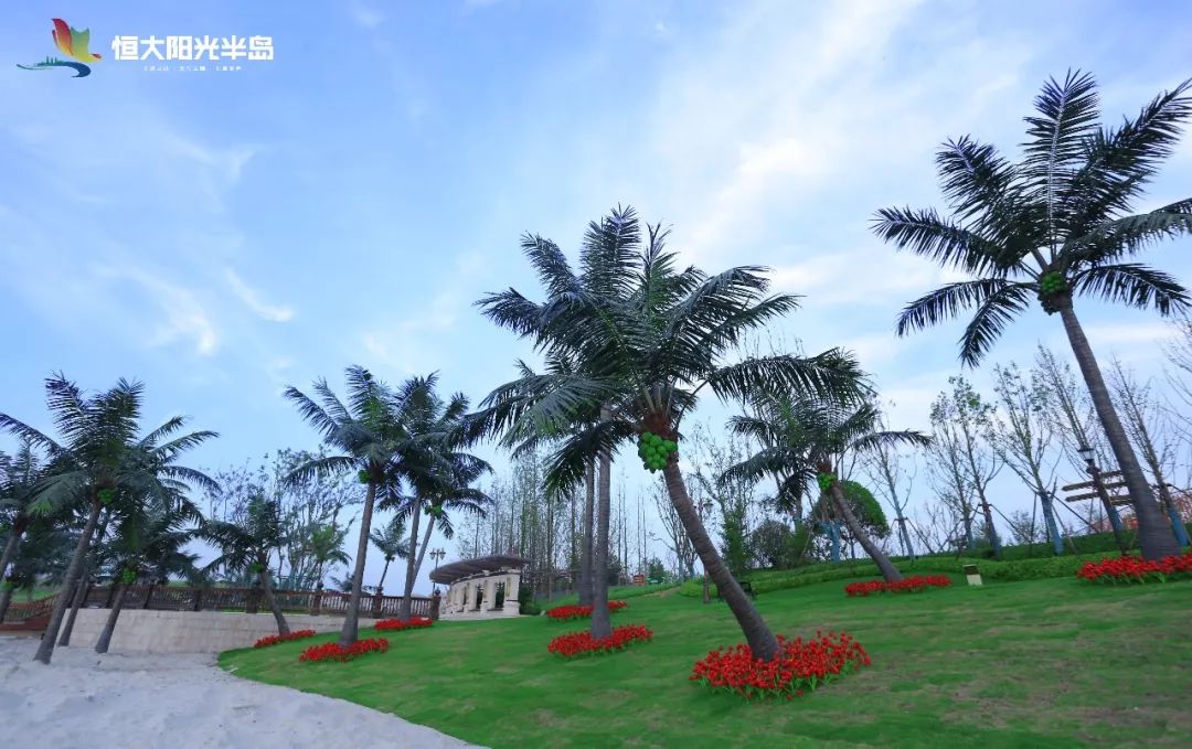 探索大洋岛娱乐论坛，海岛上的一片数字乐园大洋岛在哪里