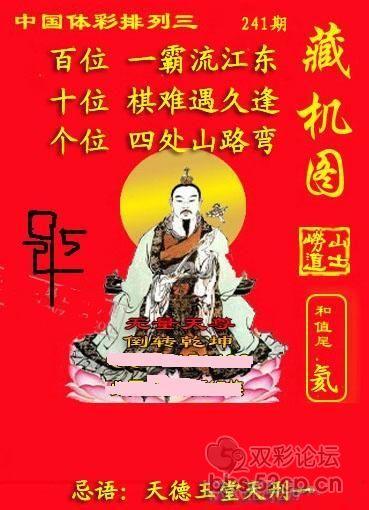 藏机图双色球，揭秘彩票背后的神秘与智慧藏机图双色球藏机图