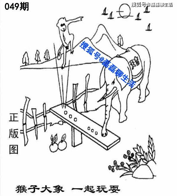 福彩3D图谜画迷，解密数字背后的艺术与智慧福彩3d图谜画迷牛材网