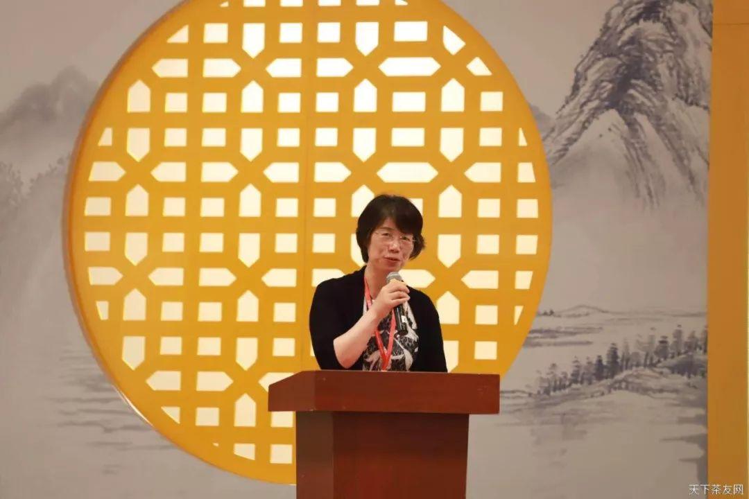 浙江省体育彩票公告，公益与梦想的双重奏响浙江省体育彩票公告官网