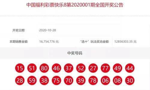 快乐8，解锁数字游戏的技巧与经验分享快乐8技巧必出
