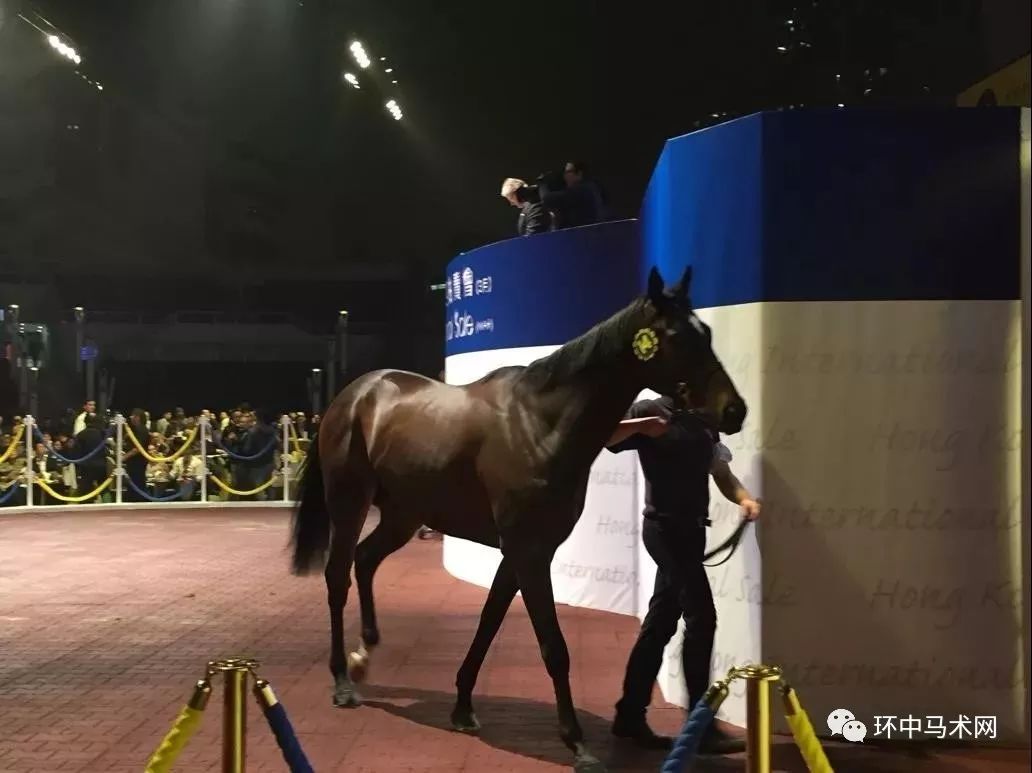 探秘香港本港台