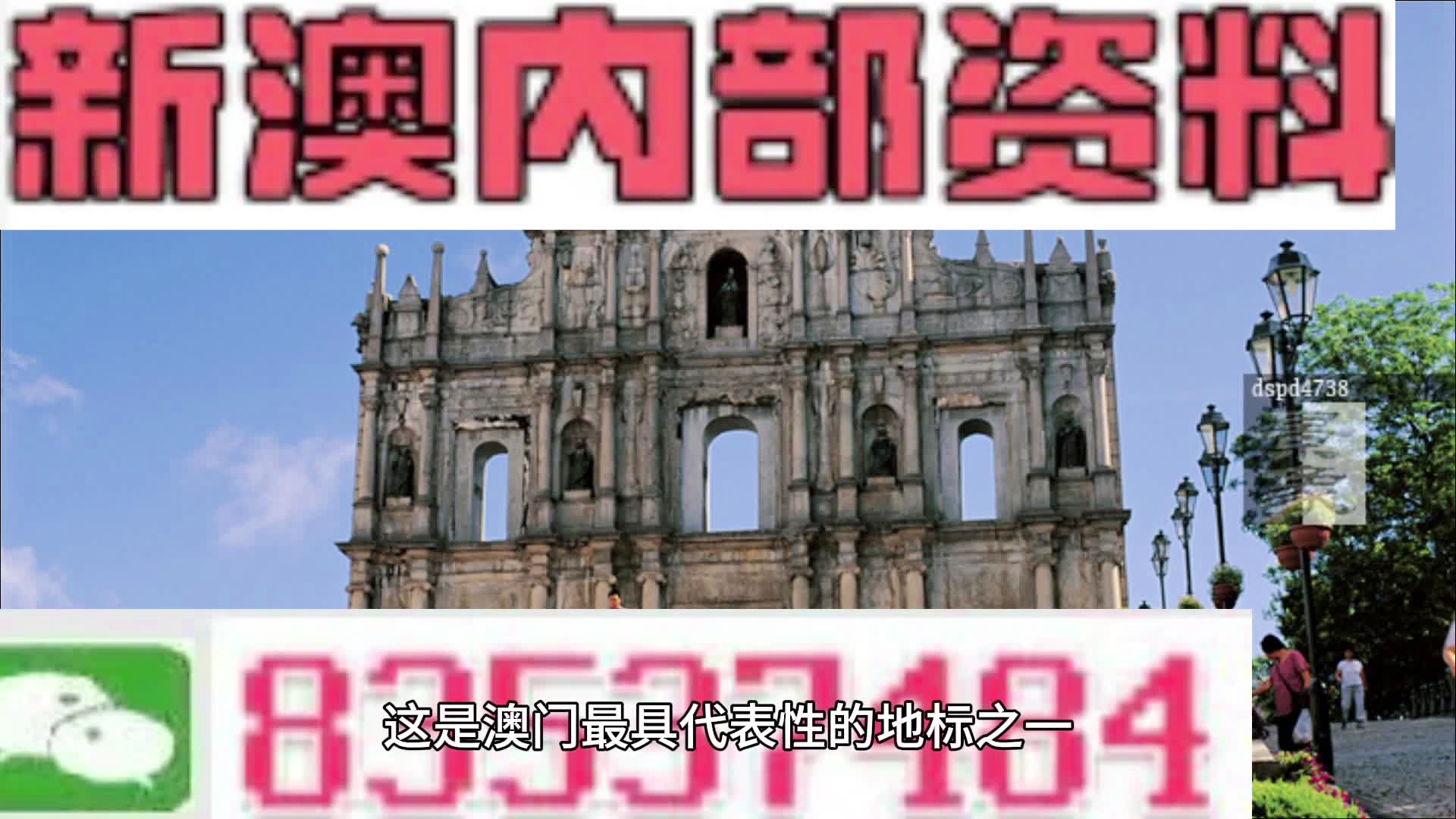 探索新澳马，今天最快最新图库的视觉盛宴2025新澳最新版精准特