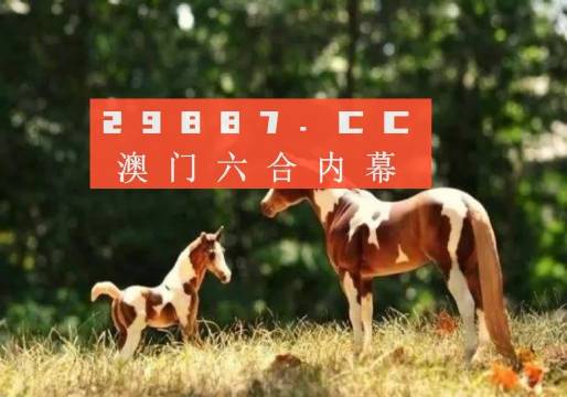 xzihzcx 第11页