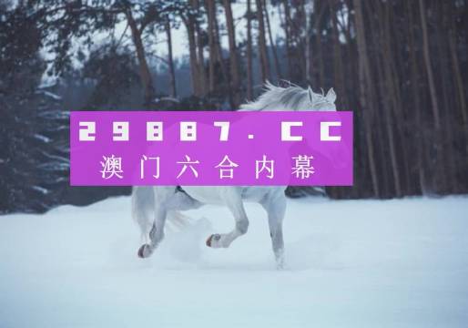 澳门六哥直播
