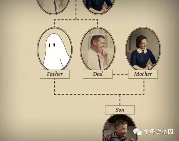 澳门六叔与澳叔叔的传奇故事，错综复杂的家族网络澳门六叔和澳叔的关系如何啊呢图片
