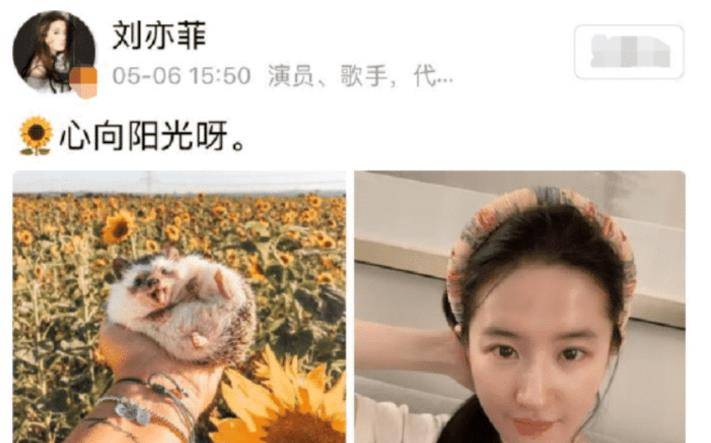 澳门六采夜莺姐姐，网络热议的最新版图片事件解析澳门六采夜莺姐姐图片最新版