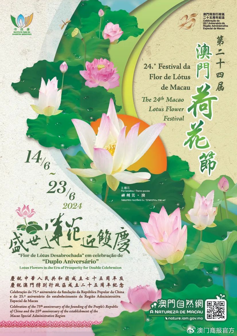 2025年6月2日 第2页